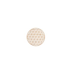 Fleur de vie