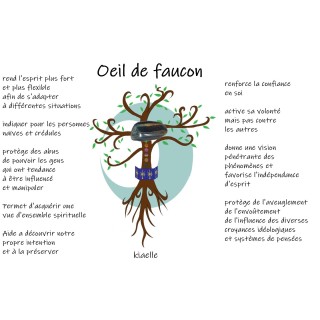 Oeil de faucon