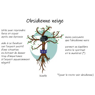 Obsidienne neige